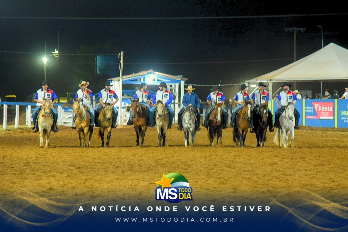 Imagem da Galeria